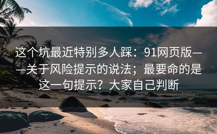 这个坑最近特别多人踩：91网页版——关于风险提示的说法；最要命的是这一句提示？大家自己判断