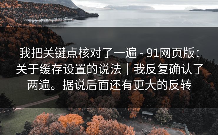 我把关键点核对了一遍 - 91网页版：关于缓存设置的说法｜我反复确认了两遍。据说后面还有更大的反转  第1张