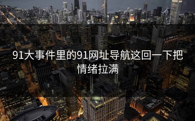 91大事件里的91网址导航这回一下把情绪拉满  第1张