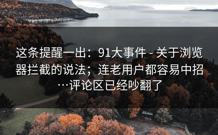 这条提醒一出：91大事件 - 关于浏览器拦截的说法；连老用户都容易中招…评论区已经吵翻了  第1张